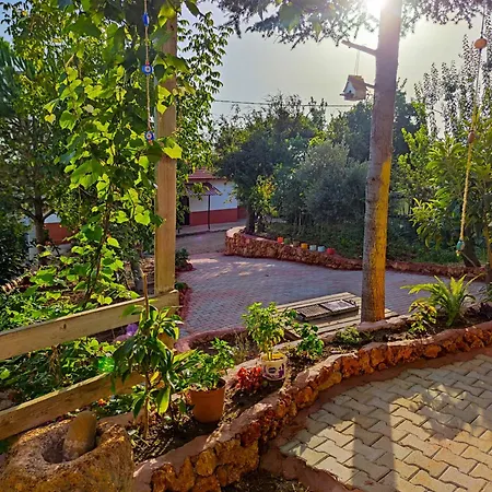 Σπίτι διακοπών Cardaklikonak *