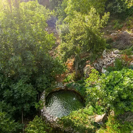 Cardaklikonak * Geyikbayiri