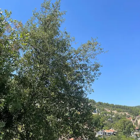 Cardaklikonak 度假居